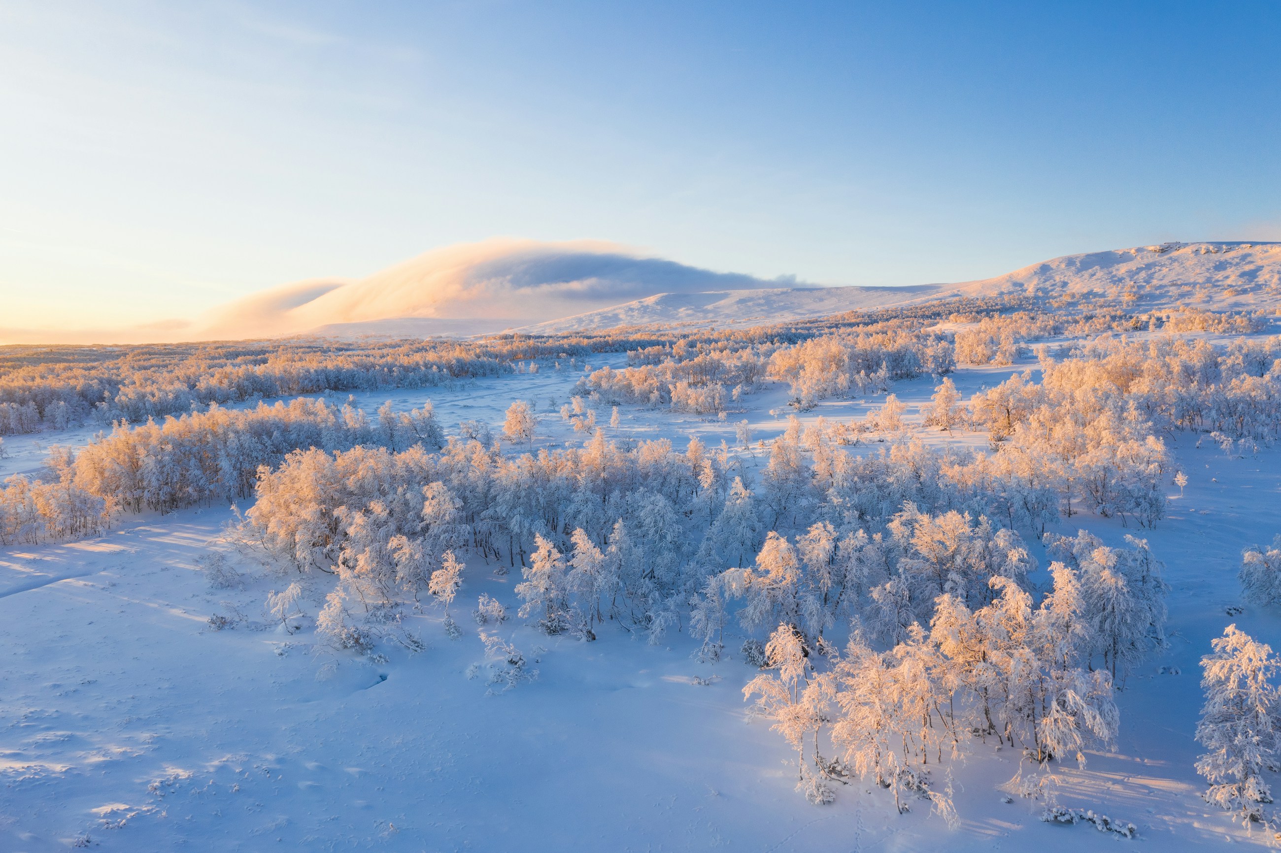 From the Arctic, for everyone.